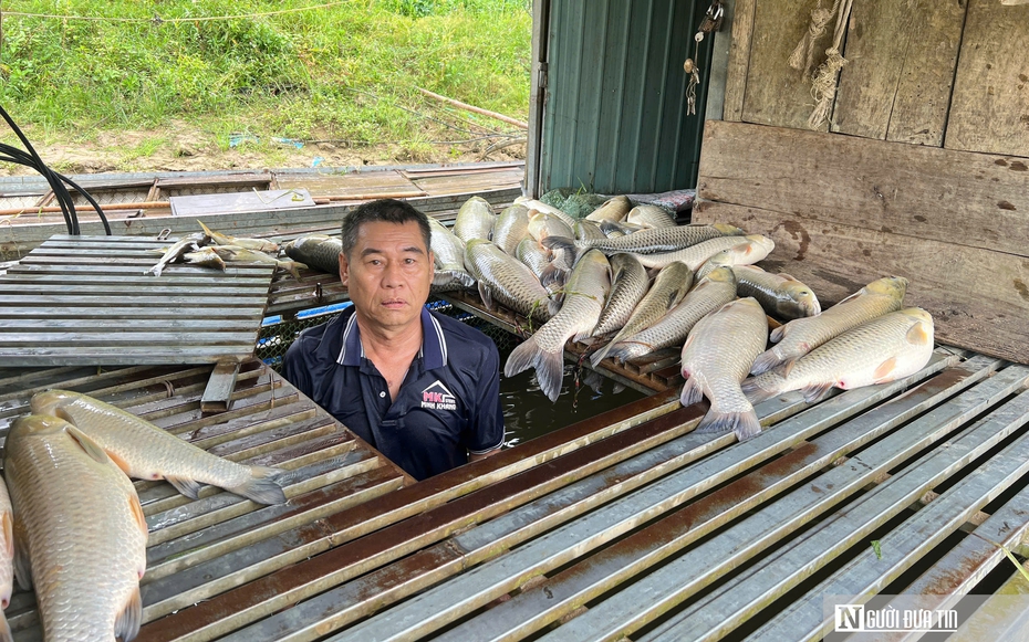 Cá chết hàng loạt bất thường trên sông Lam: Xác định nguyên nhân ban đầu