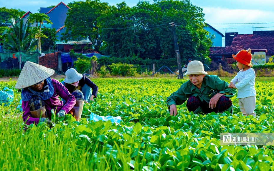 Về Thuận Nghĩa để nghe chuyện trồng rau trở thành chuyện du lịch