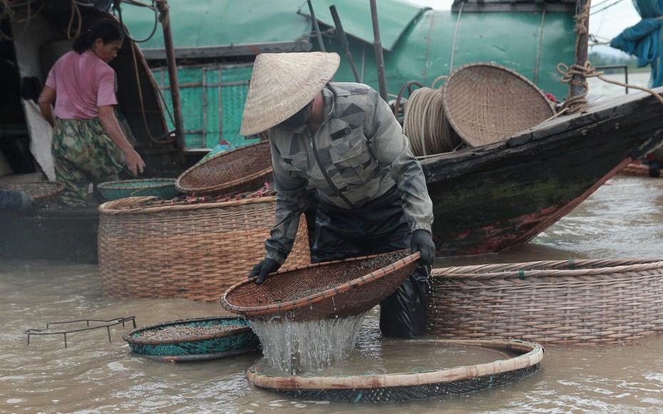 Giữa cái nắng như đổ lửa, người dân vẫn đổ xô xuống sông La săn “lộc trời”