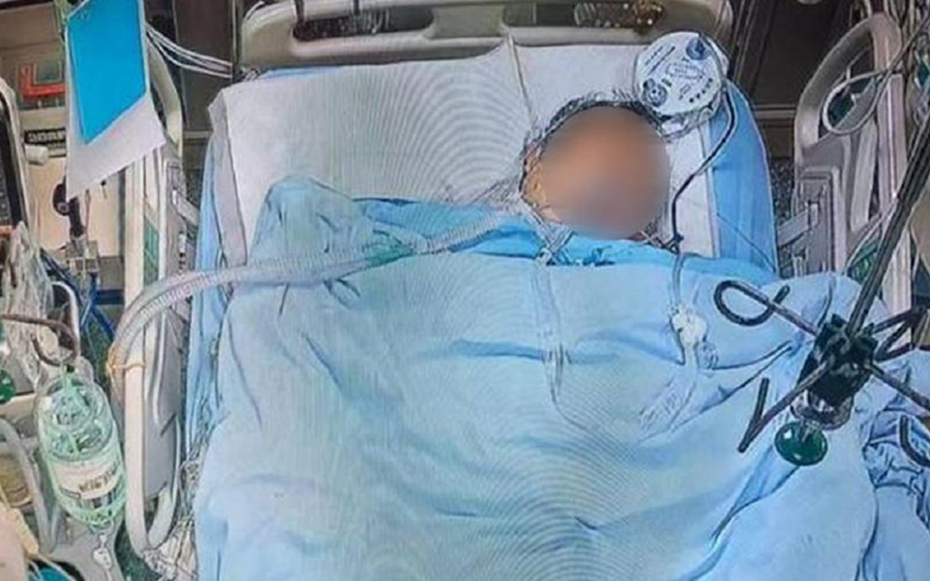 Đang cho gà ăn, người đàn ông bị con vật "đáng sợ" tấn công, diễn biến sau đó rùng mình