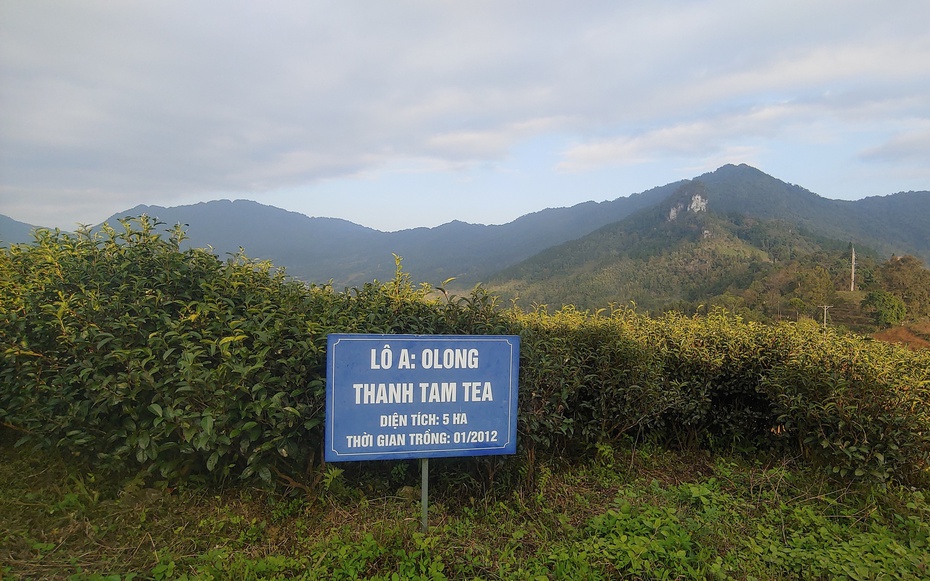 Xây dựng bản đồ số du lịch nông thôn Việt Nam