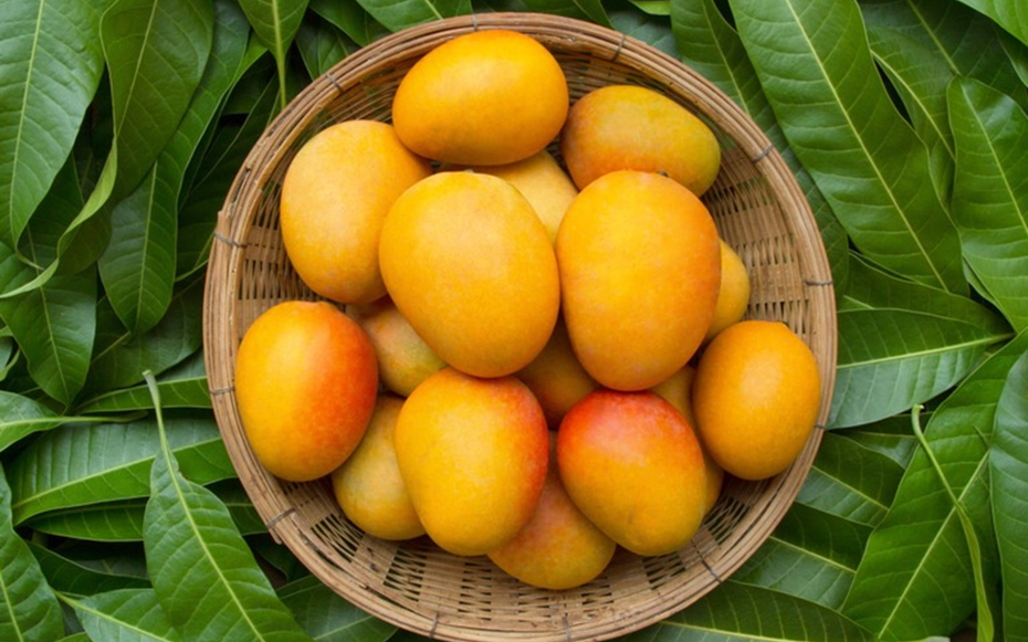 2  loại quả được ví như "thần dược" cho não bộ, nhất quả số 1 hễ ra chợ là thấy
