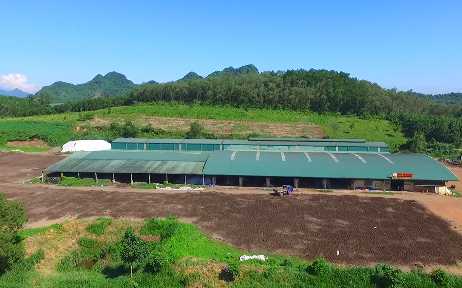 Thanh tra chỉ ra nhiều vi phạm tại 3 doanh nghiệp phân bón ở Thanh Hóa