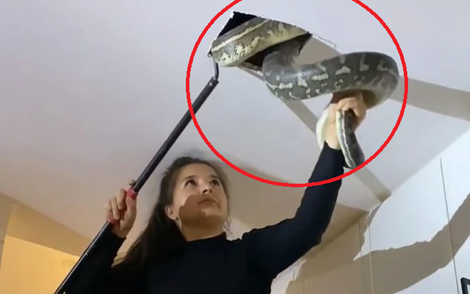 Nhìn lên trần nhà, cô gái phát hiện cảnh tượng "nổi da gà"