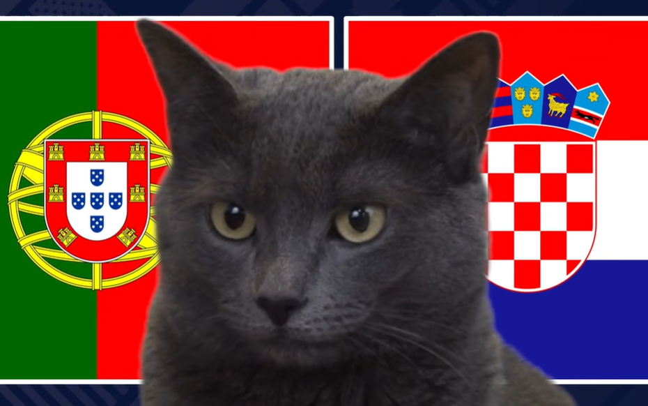 Mèo "tiên tri" dự đoán kết quả trận Bồ Đào Nha vs Croatia: Ronaldo tiếp tục "nổ súng"?