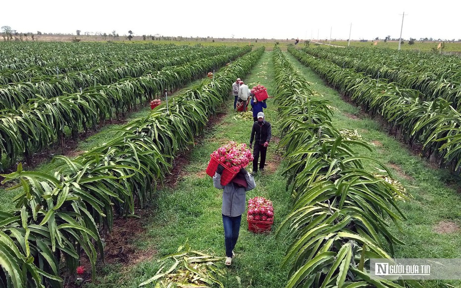 Nông sản lên máy bay phải đáp ứng những tiêu chuẩn nghiêm ngặt như thế nào?