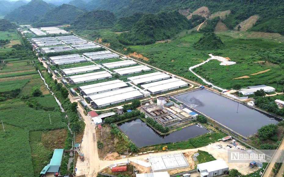 Vụ 5 công nhân tử vong ở trại lợn: 3 công ty chăn nuôi tại xã đều vi phạm về môi trường
