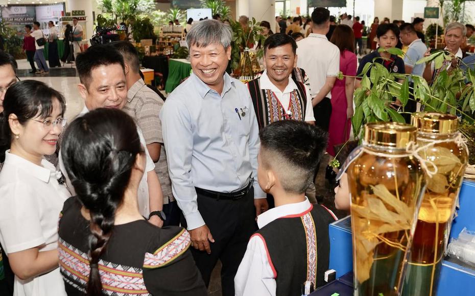 Phó Chủ tịch Đà Nẵng: Phải đi nhanh hơn để sâm Ngọc Linh cạnh tranh với thế giới