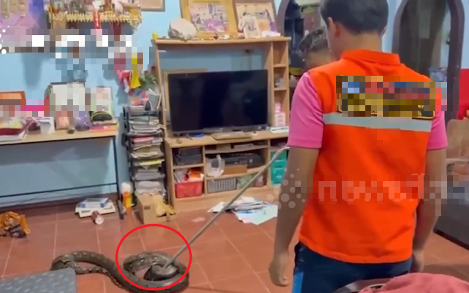 Nghe tiếng động lạ, người dân phát hiện cảnh tượng "đáng sợ" lúc rạng sáng