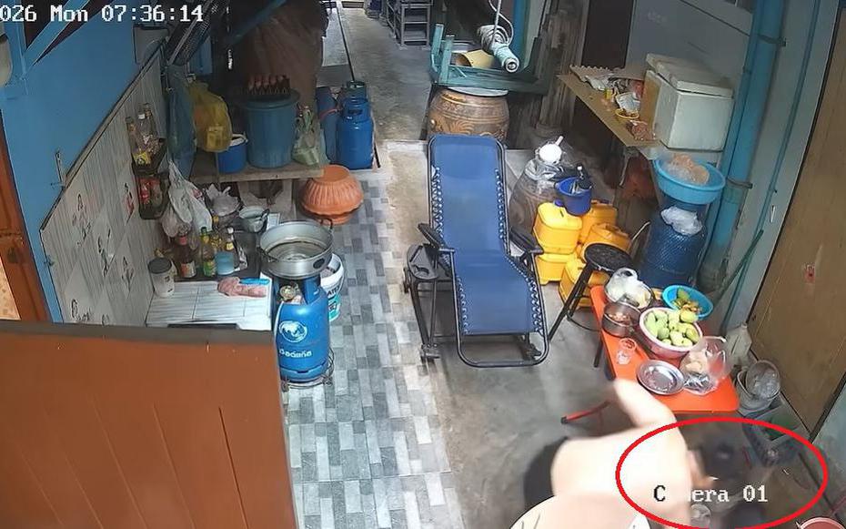 Nghe tiếng mèo kêu, người đàn ông bất ngờ chứng kiến "cảnh tượng đáng sợ"