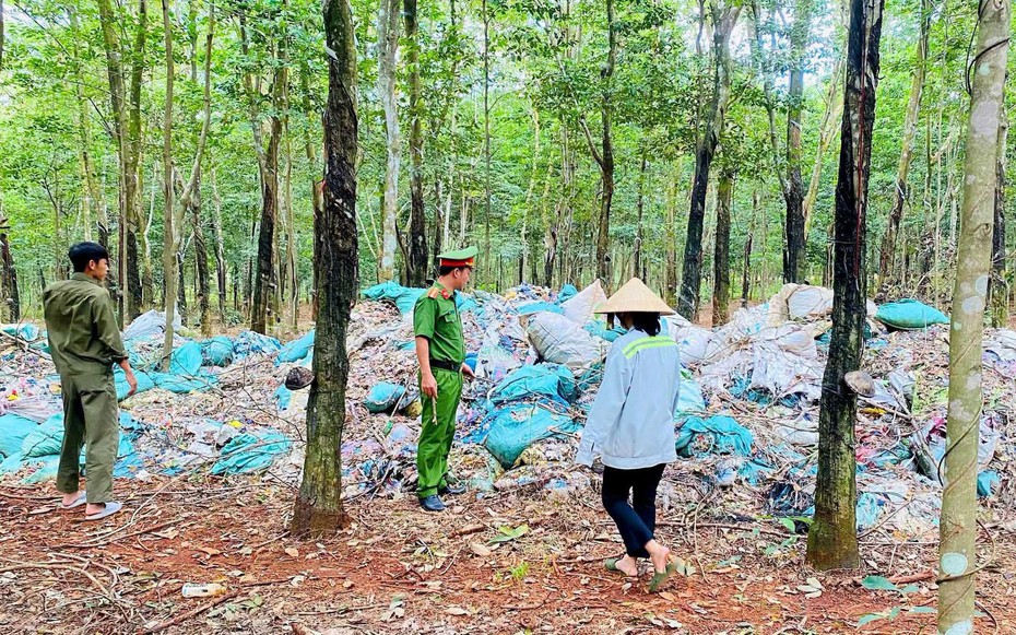 Gần 8,5 tấn chất thải bị đổ trái phép trong rừng cao su ở Đồng Nai