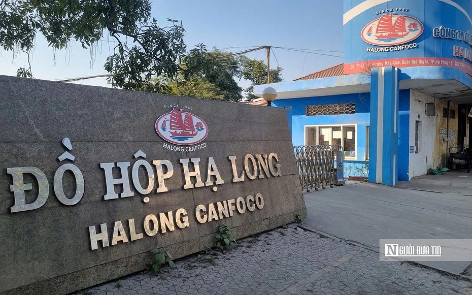 Sau vụ 130 tấn heo nhiễm dịch, Đồ hộp Hạ Long tiếp tục chìm trong thua lỗ