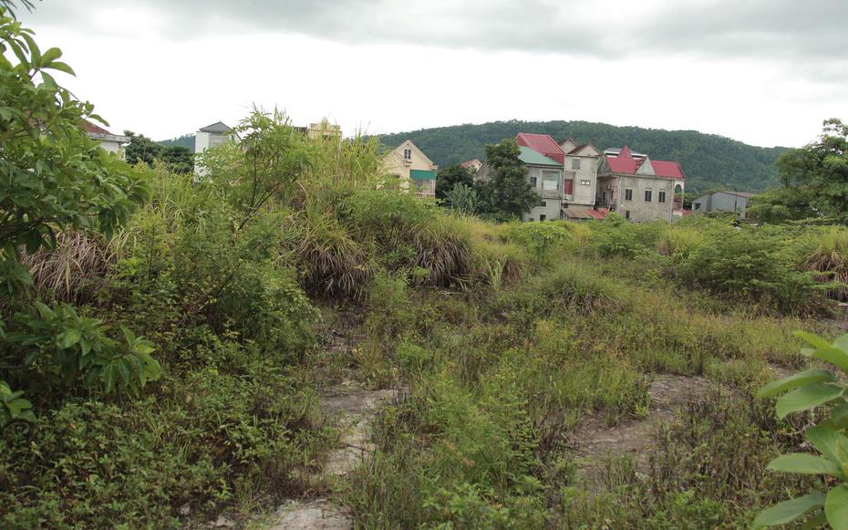 Cận cảnh khu chợ cũ hơn 10.000m2 bỏ hoang nhiều năm, cỏ mọc um tùm