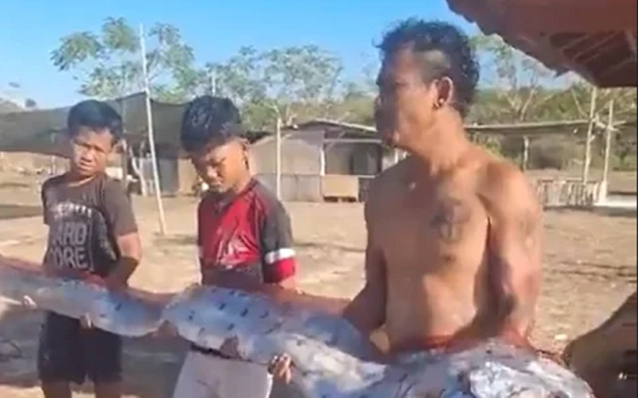 Đang đi dạo biển, người dân bỗng thấy cảnh tượng "nổi da gà" trước mặt