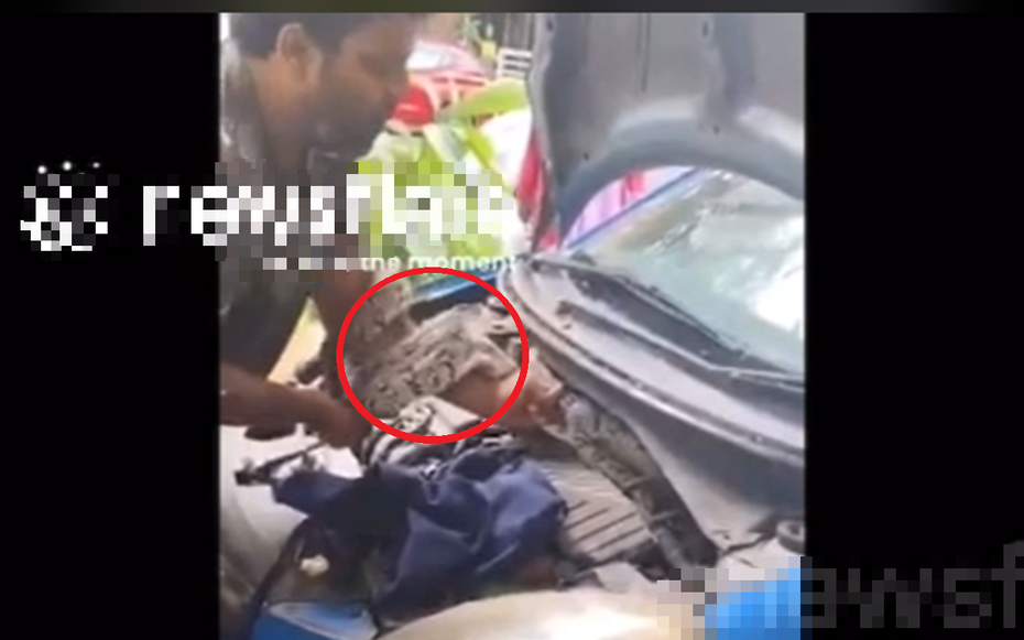 Vừa mở ô tô, người dân bỗng thấy cảnh tượng "nổi da gà"