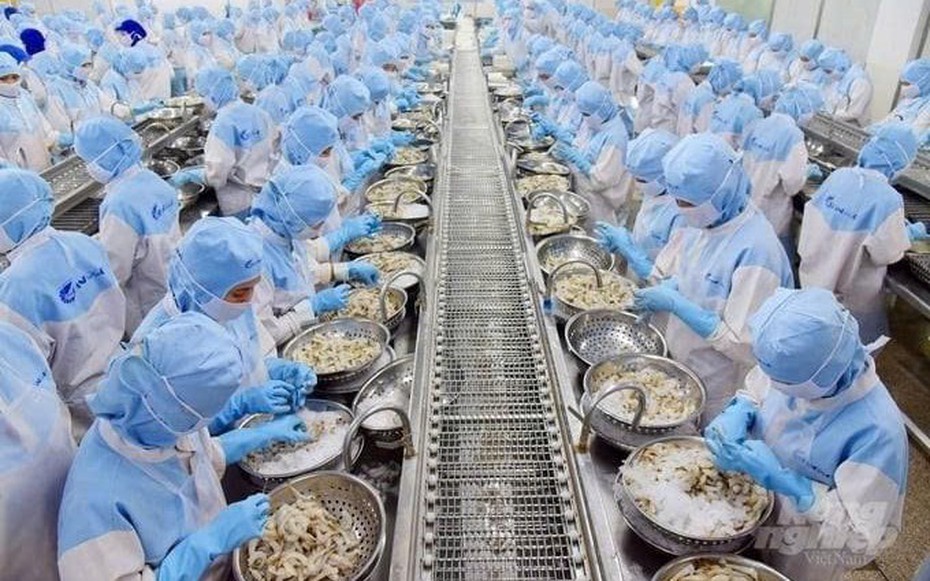 Sửa đổi, bổ sung 3 thủ tục hành chính về thủy sản, kiểm ngư