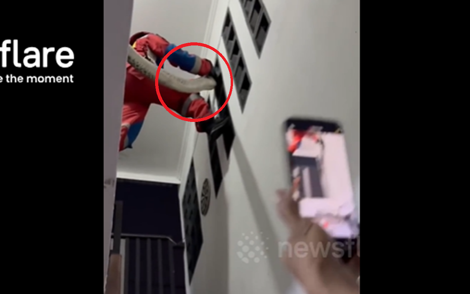 Nửa đêm, người dân phát hiện cảnh tượng "nổi da gà" trong nhà