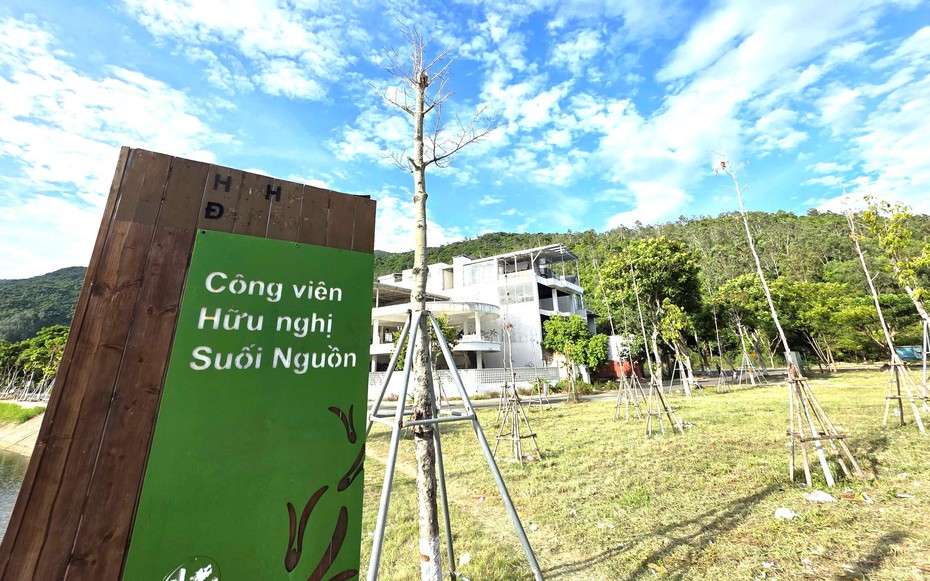 Nhiều cây xanh chết khô tại công viên trên tuyến đường lên bán đảo Sơn Trà
