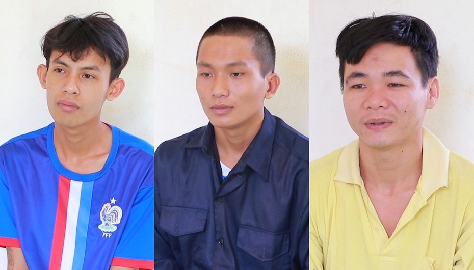 Khởi tố 3 nam thanh niên trộm mai vàng, thuê xe ba gác chở đi tiêu thụ