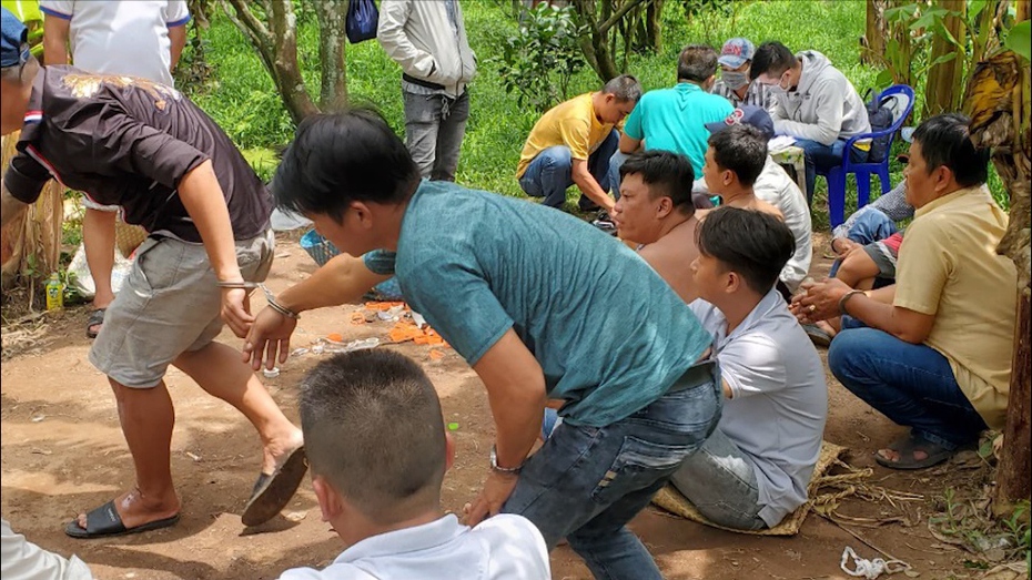 Cảnh sát vây bắt nhóm đá gà ăn thua bằng tiền trong vườn bưởi