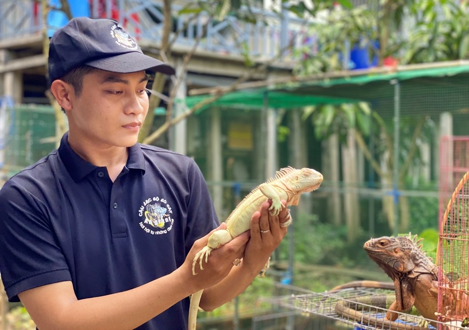 An Giang: Nuôi Rồng Nam Mỹ thu lợi hàng trăm triệu mỗi năm