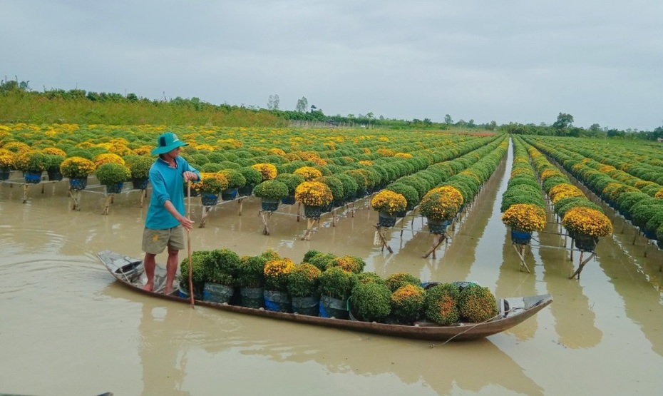 “Thủ phủ hoa” lớn nhất miền Tây vào xuân