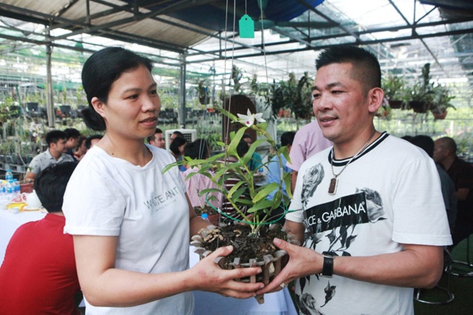 Danh tính đại gia Hà thành chi hẳn 5 tỷ mua bông hoa nhìn như rau muống