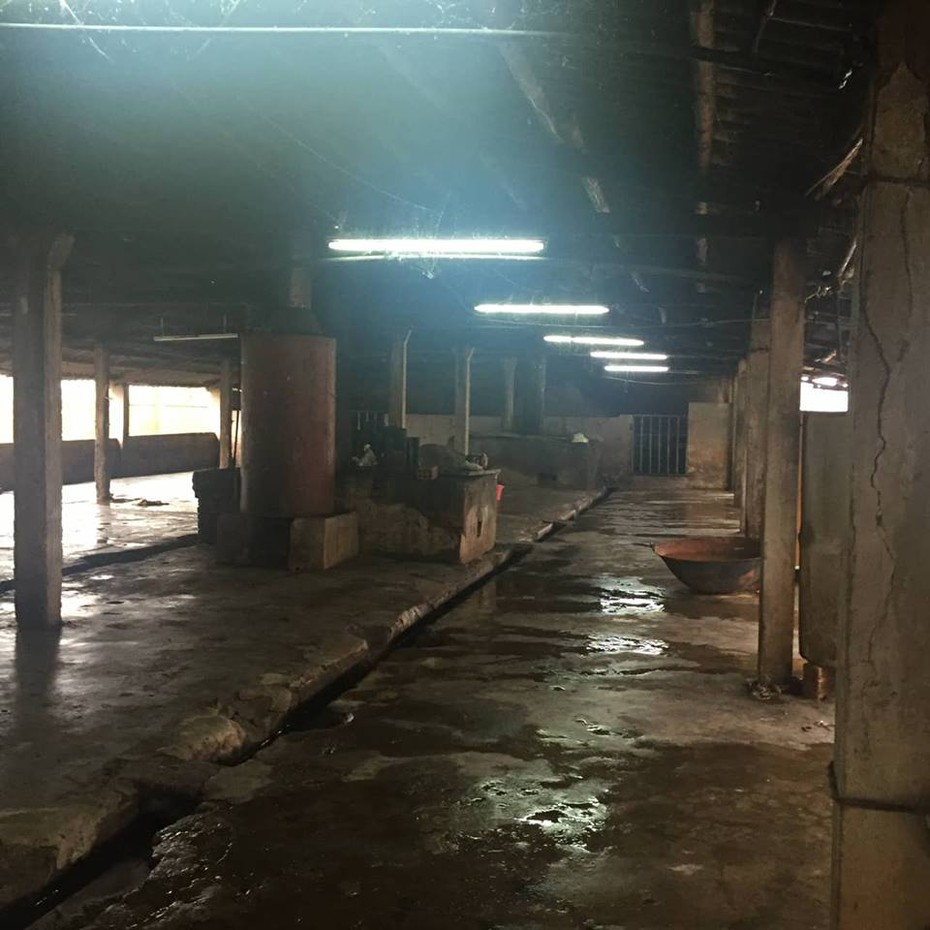 Điều tra vụ người đàn ông đâm bạn tử vong tại lò mổ lợn