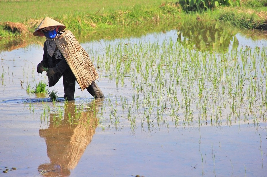 Hà Tĩnh nắng nóng kỷ lục, bác sĩ đưa cảnh báo với người phải làm việc ngoài trời