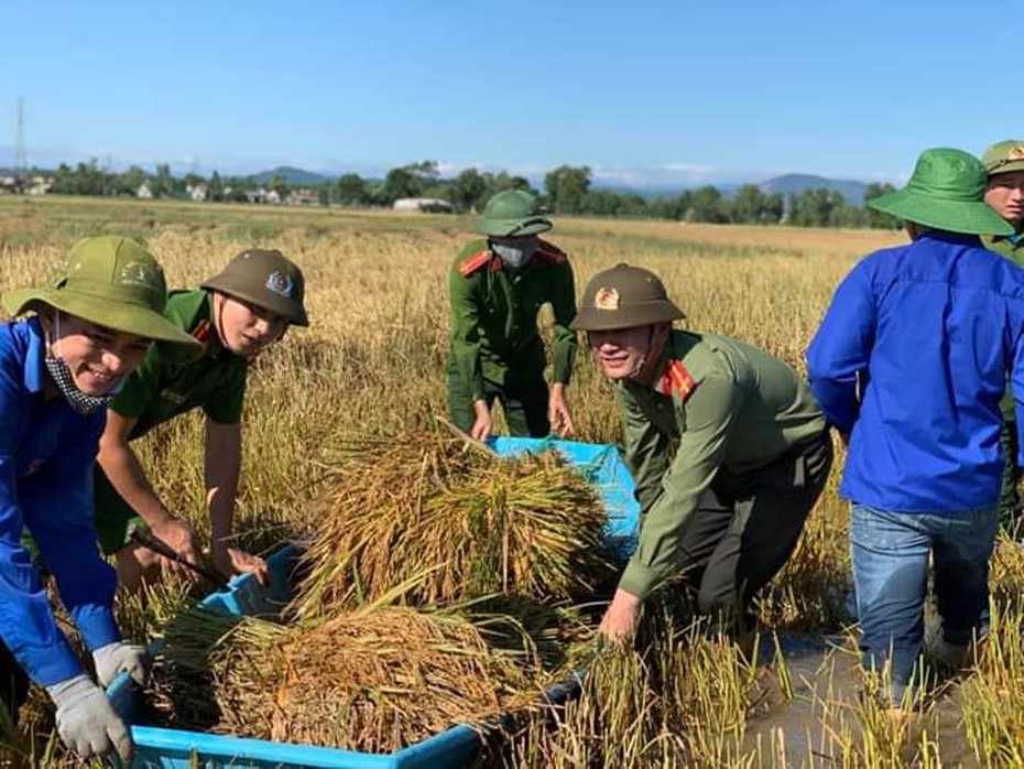 Hà Tĩnh: Cán bộ, chiến sỹ lực lượng Công an ra đồng gặt lúa giúp người dân