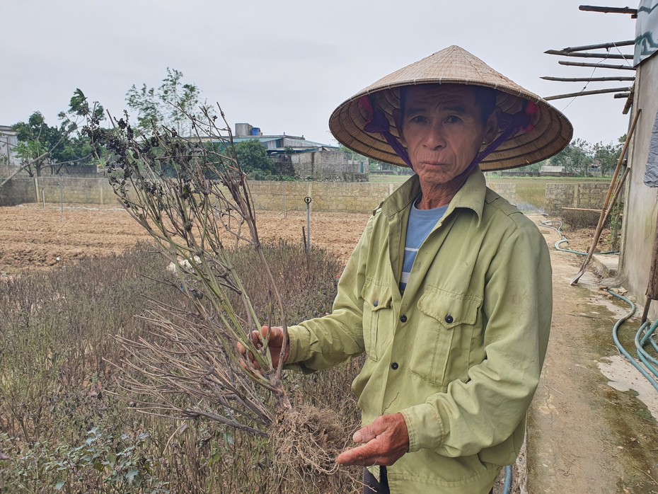 Điêu đứng sau cơn lũ