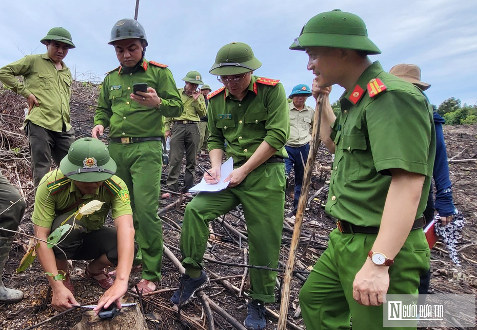 Vụ phá rừng nguyên sinh ở Hà Tĩnh: Tạm đình chỉ công tác Trưởng phòng BQL Khu bảo tồn thiên nhiên Kẻ Gỗ