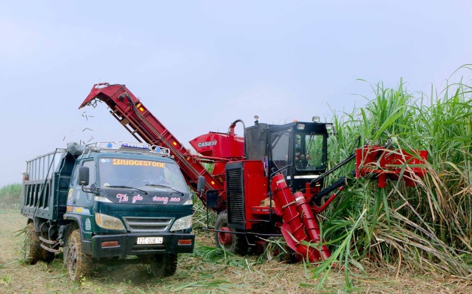 Nông nghiệp Sông Con huỷ giao dịch vẫn bị phạt 100 triệu đồng