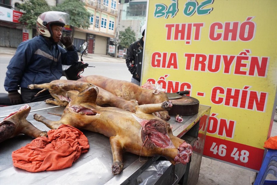 Thịt chó hay thịt gà cũng là động vật, tại sao phải bỏ?