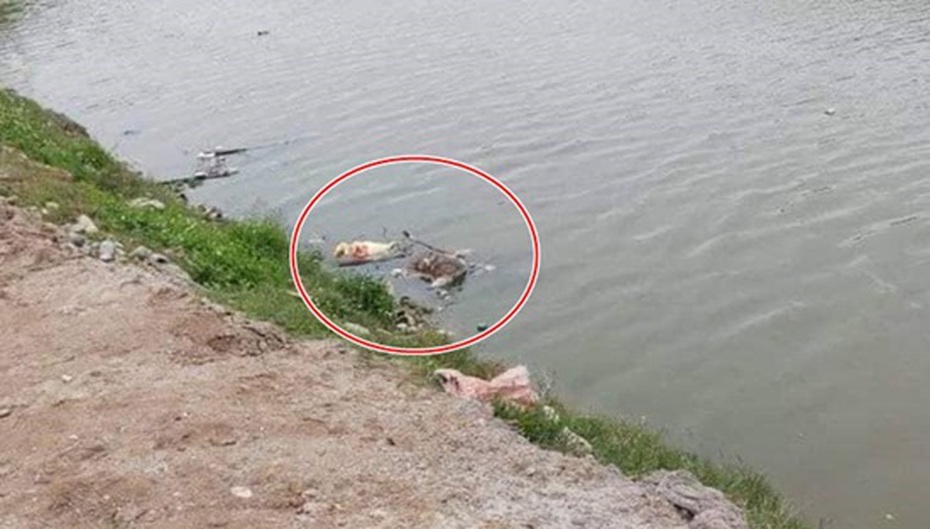 Vĩnh Phúc: Xác minh danh tính thi thể bị trói tay, đang phân hủy trên sông