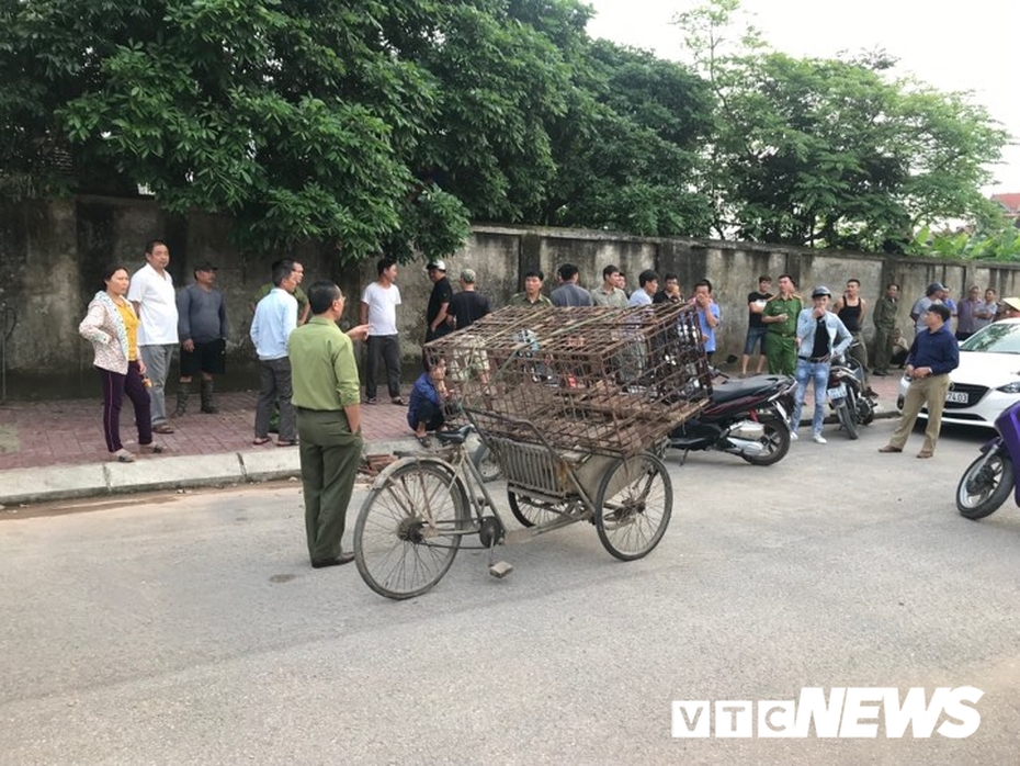 Có thể tiêu huỷ đàn chó cắn chết bé trai 7 tuổi ở Hưng Yên nếu bị bệnh dại