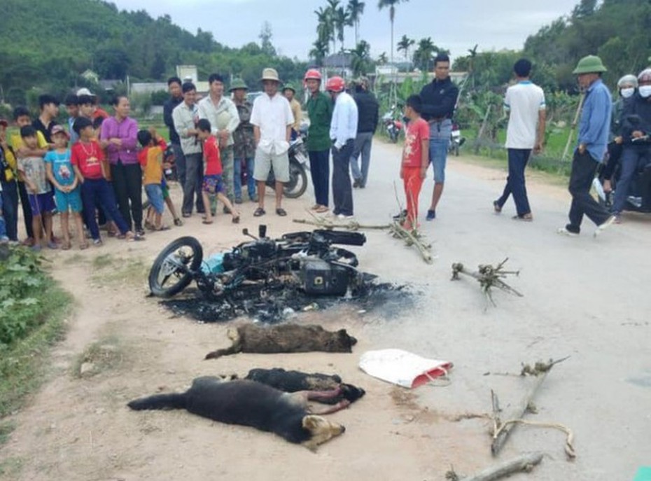 Khởi tố vụ án, triệu tập nhiều người trong vụ nghi trộm chó bị đánh hội đồng tử vong