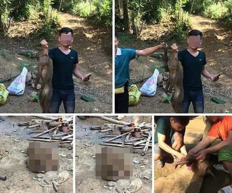 Khoe “chiến tích” giết khỉ trên Facebook, thanh niên bị công an mời làm việc