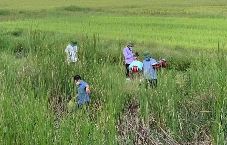 Khởi tố vụ án người mẹ ôm thi thể con lao vào tàu Bắc-Nam tự tử