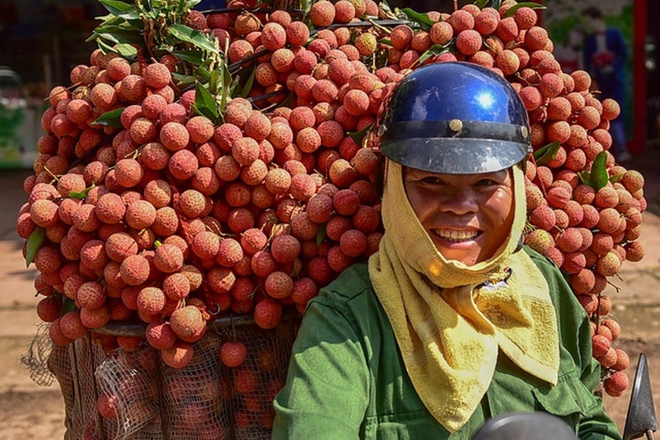 Hỗ trợ tiêu thụ vải, nông sản ở Bắc Giang