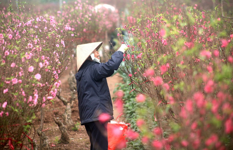 Đề xuất hai phương án nghỉ Tết Tân Sửu 2021 kéo dài 7 ngày