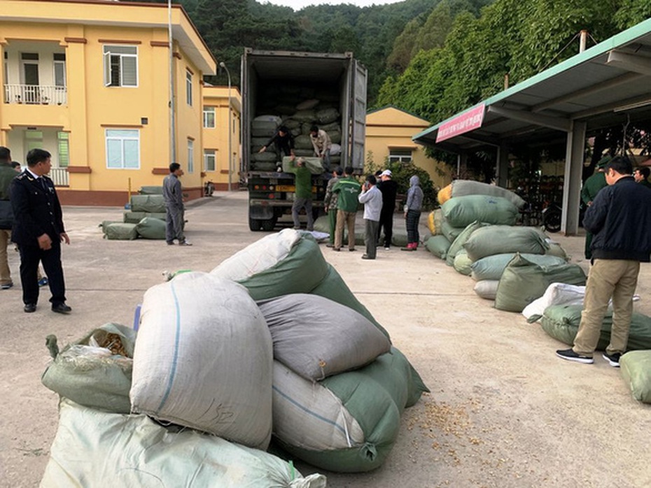 "Trùm buôn lậu" 5000 tấn thuốc bắc khai hối lộ lãnh đạo chi cục hải quan cửa khẩu