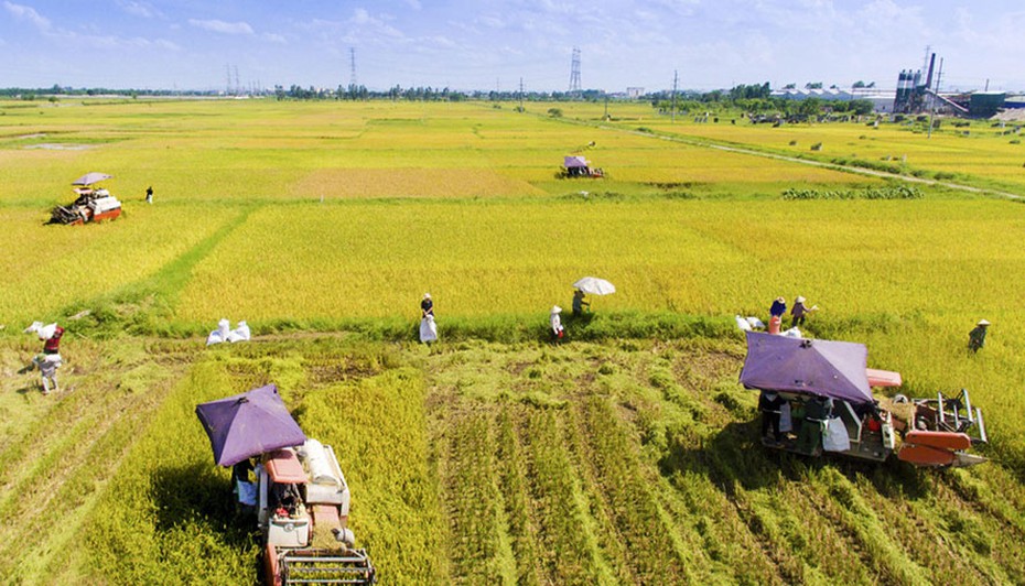 Thêm nhiều đối tượng bảo hiểm được hỗ trợ phí bảo hiểm nông nghiệp