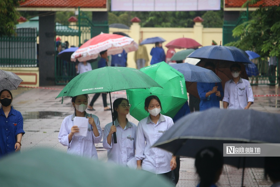 Đáp án, đề thi môn Sinh học mã đề 214 kỳ thi THPT năm 2024 chuẩn nhất