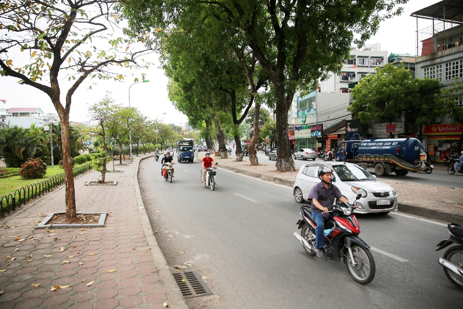 Dự báo thời tiết 1/8: Đợt mưa lớn ở Bắc Bộ giảm nhanh