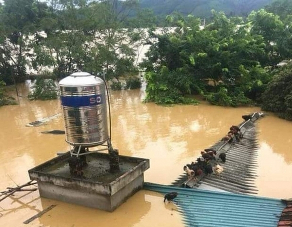 Mưa lũ bão số 9: “Gọi về nhà không được, tôi run hết người"