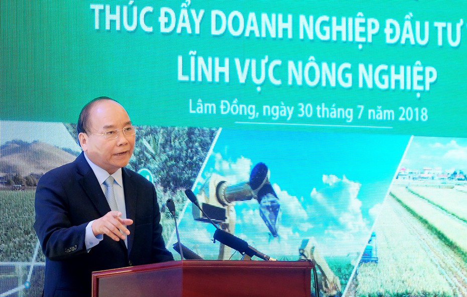 Thủ tướng yêu cầu xử lý nghiêm hành vi làm “nông sản bẩn”