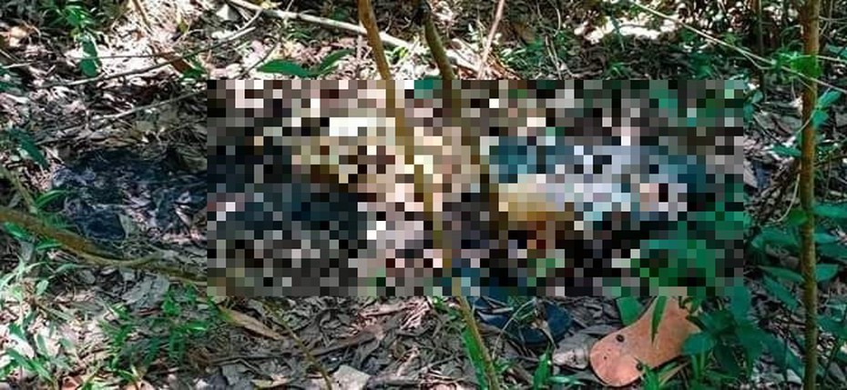 Nóng: Bàng hoàng phát hiện thi thể nam thanh niên trong rừng sau khi mất tích hơn 1 tháng