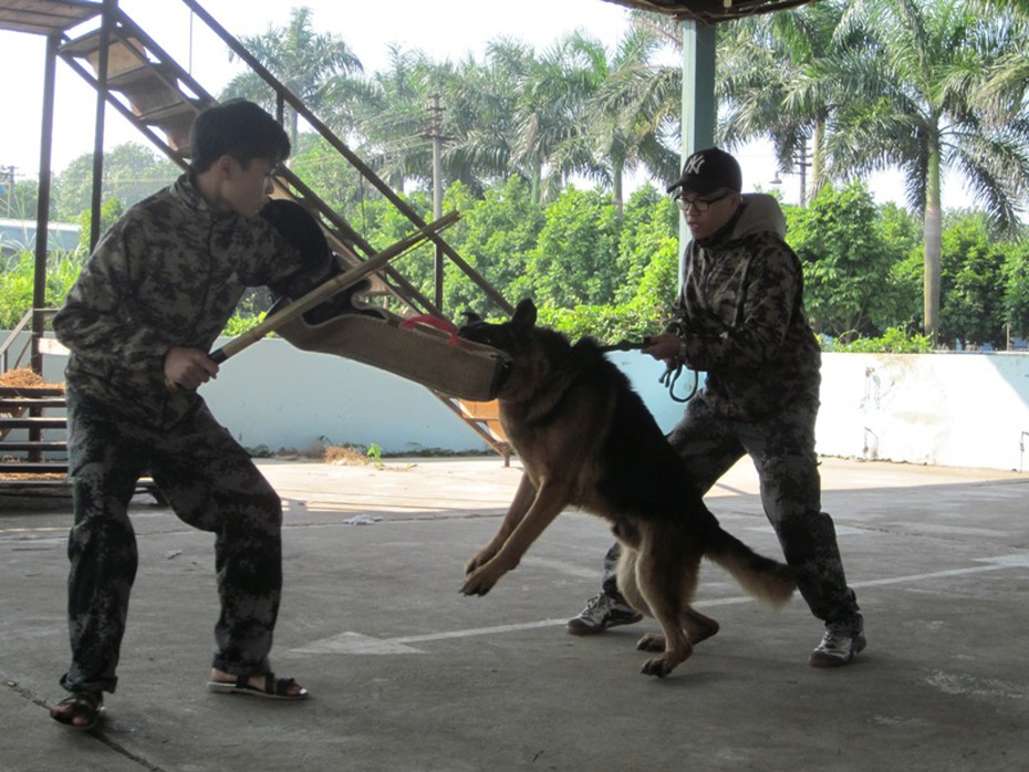 Năm Mậu Tuất, “đột nhập” trung tâm huấn luyện “tên lửa có răng”