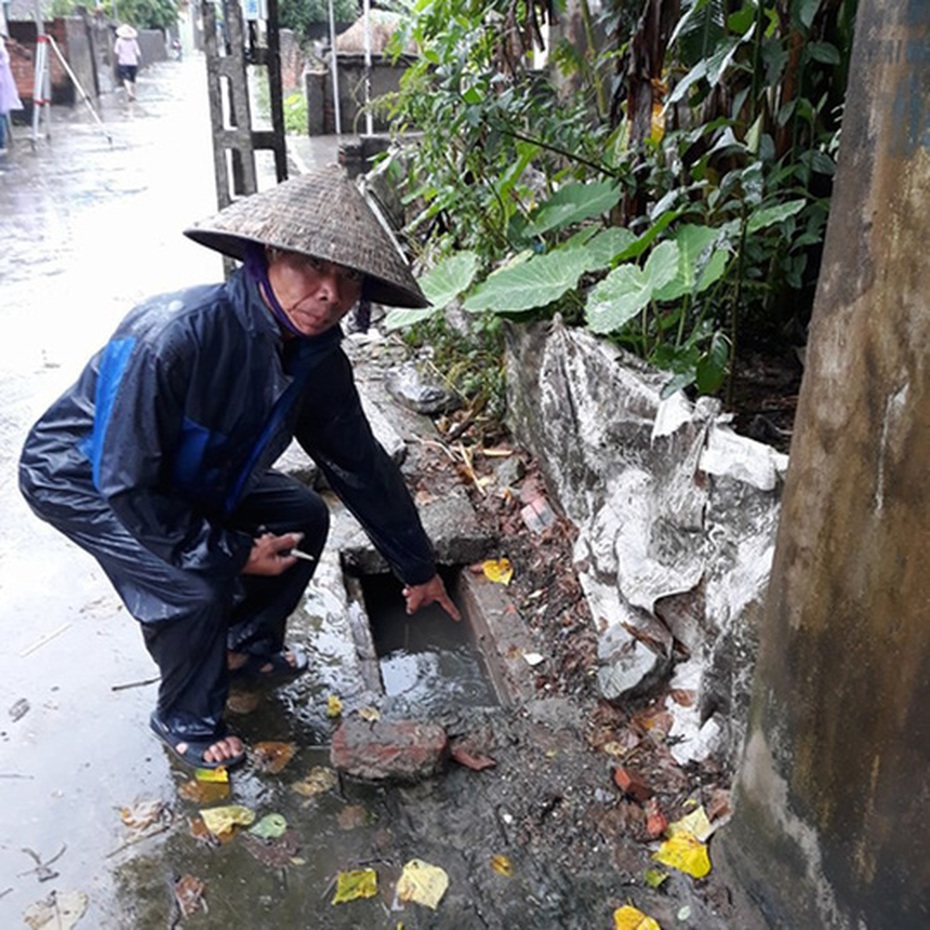 Sai phạm hàng loạt, một Bí thư Đảng ủy ở Hải Phòng bị cách chức